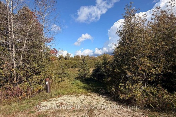 4 Side Road, Wellington North, ON N0G2L0 Photo 3
