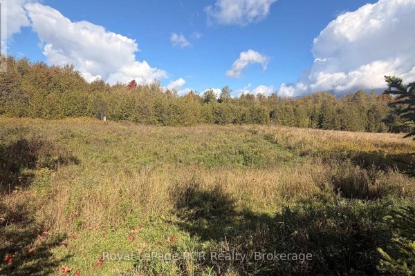 4 Side Road, Wellington North, ON N0G2L0 Photo 4