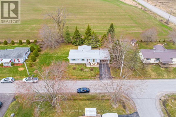 Kitchen - 4 Vista Drive, Kawartha Lakes, ON K9V4R1 Photo 3