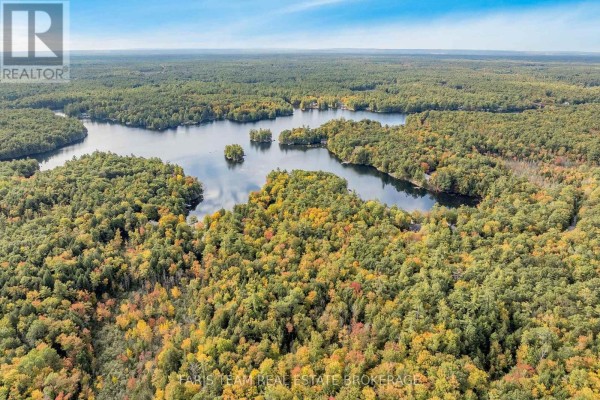 Aerial view of a winding lake surrounded by dense green and yellow autumn forest. - 4 Wheel Drive, Gravenhurst)