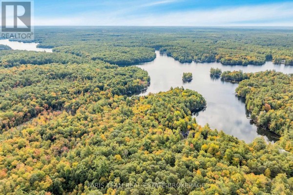 Expansive aerial view of a lake and surrounding mixed forest landscape under a blue sky. - 4 Wheel Drive, Gravenhurst)