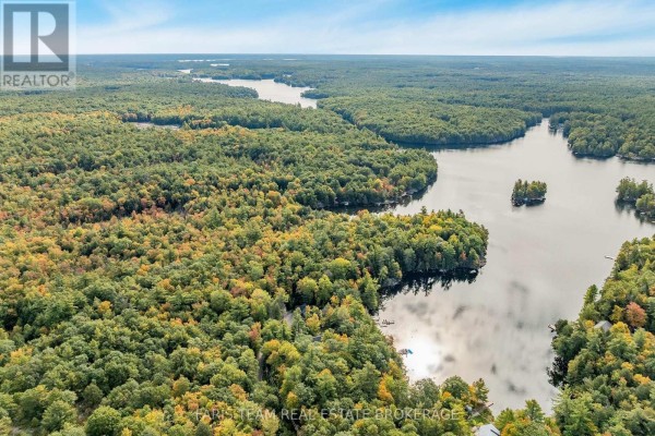 Overhead view of a lake's shoreline with trees and scattered buildings, reflecting the sky. - 4 Wheel Drive, Gravenhurst)