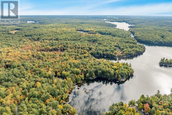 Wide aerial shot of a lake with islands, forested shores, and clear blue skies above. - 4 Wheel Drive, Gravenhurst)