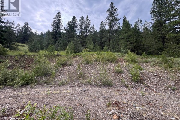 40 Acres Shuswap River Drive, Lumby, BC, photo 3
