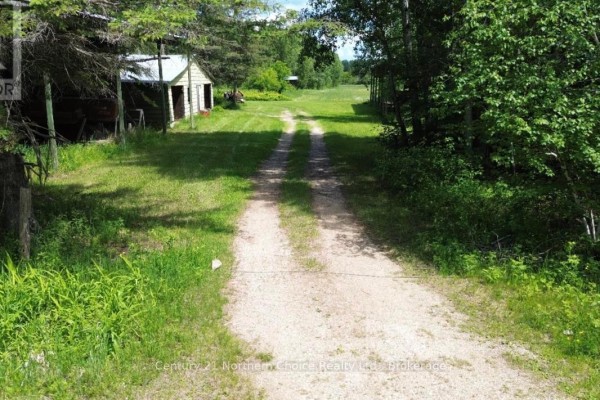Other - 40 Birch Road, Lake Of The Woods, ON P0W1M0 Photo 3