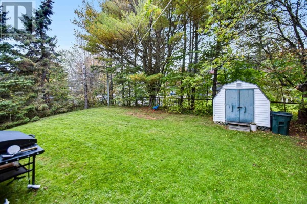 Backyard with green grass, trees, storage shed, and barbecue grill. - 40 Charles Street, Amherst