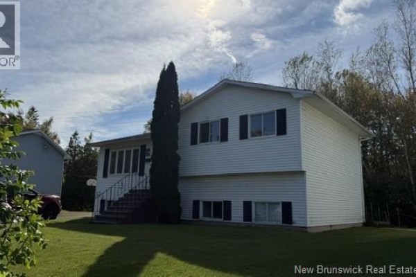 Side view of a white split-level house with black shutters and a tall evergreen tree. - 40 Emmerson Street, Fredericton