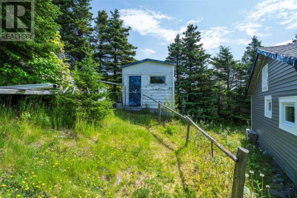 Grassy lot with trees next to a grey bungalow and asphalt driveway. - 40 Godsells Road, Spaniards Bay