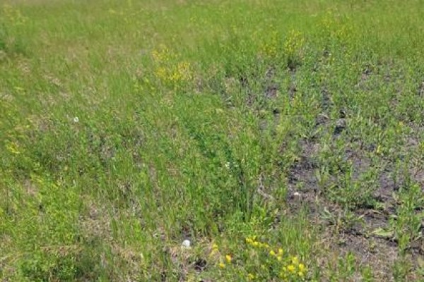 40 Kilmany Place, St Andrews, MB R1A3K6 Photo 5