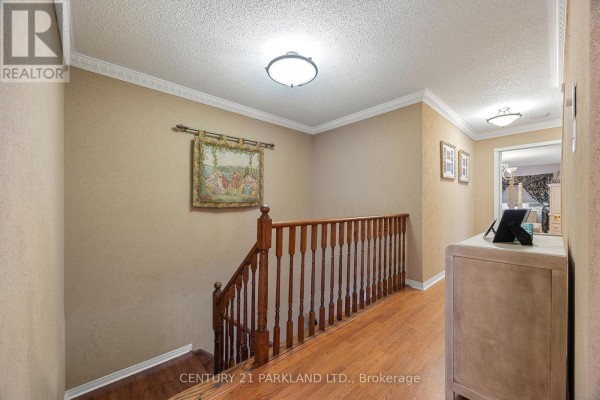 Kitchen - 40 Lady Fern Drive, Markham, ON L3S4C2 Photo 4