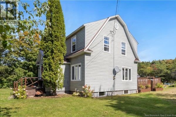 Side view of a light green two-story house with a metal roof and vinyl siding, showing the back of the house. - 40 Mill Road, Elgin