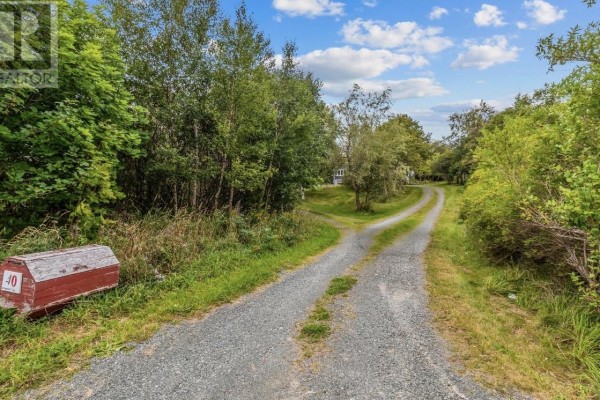 Laundry room - 40 Monument Road, Conception Bay South, NL A1W2A5 Photo 2