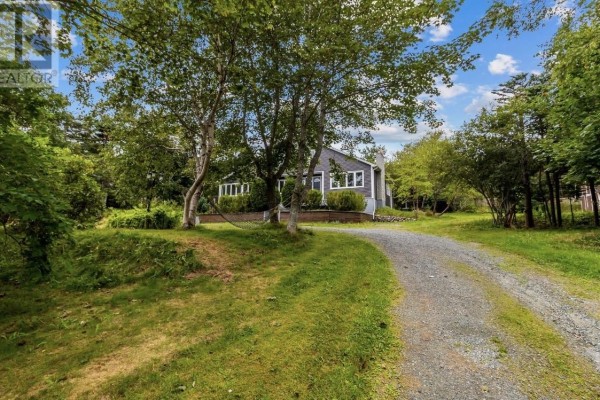Recreation room - 40 Monument Road, Conception Bay South, NL A1W2A5 Photo 4