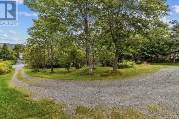 Recreation room - 40 Monument Road, Conception Bay South, NL A1W2A5 Photo 5