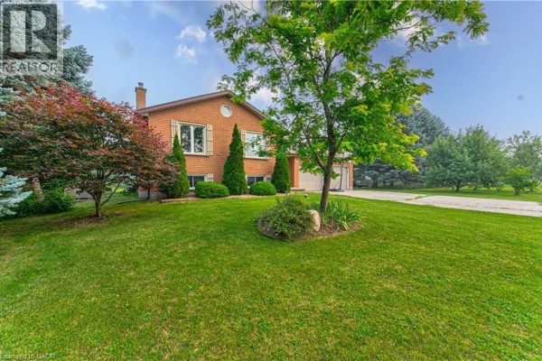 Side view of a brick house with a large green lawn and mature trees. - 40 Peter Street, Scotland