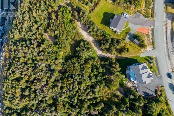 40 West Point Road, Portugal Cove   St  Philips, NL A1M2G8 Photo 2