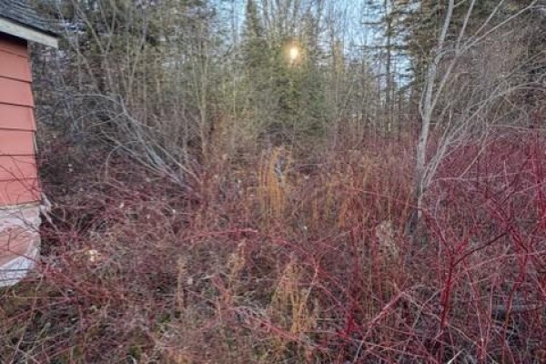 400 Flume Ridge Road, Flume Ridge, NB E6K2B8 Photo 3