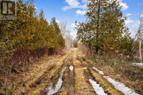 Aerial view of a large, open field surrounded by trees and distant cultivated land. - 4006 Stirling Marmora Road, Stirling Rawdon