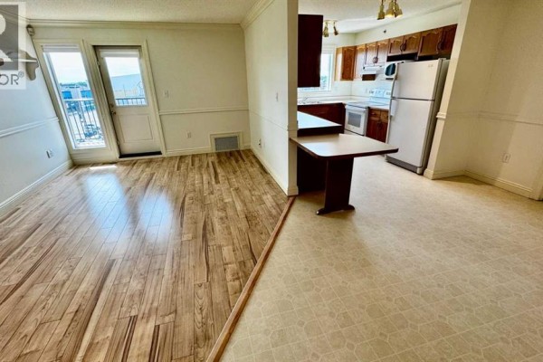 Combined living and kitchen area with laminate floors, white walls, and wood cabinets. - 401, 9919 99 Avenue, Grande Prairie