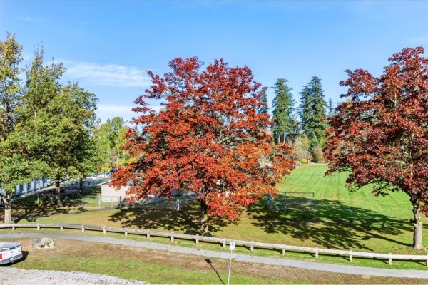 401 18505 Laurensen Place, Surrey, BC V4N6R7 Photo 3