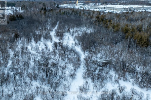 Close-up aerial winter view of snow-covered trees and brush on undeveloped land. - 401 Raglan Street, Collingwood