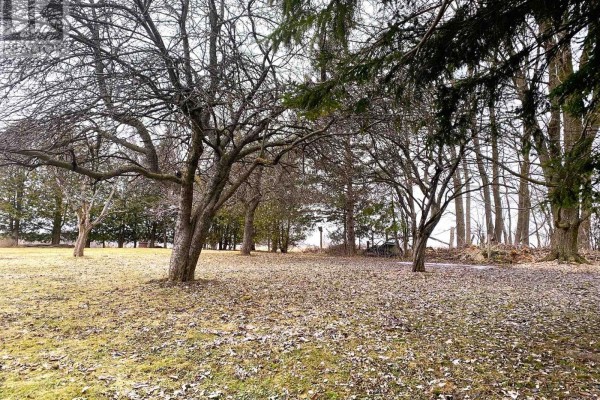 Yard with mature trees and fallen leaves - 401395 Grey Rd 4 West Grey
