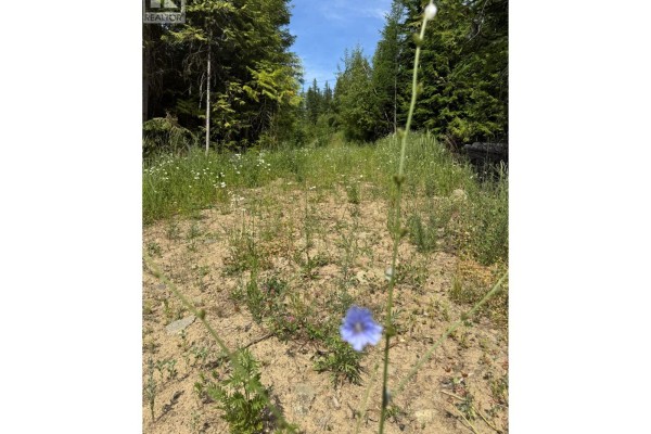 4018 Fumot Place, Bonnington, BC, photo 2