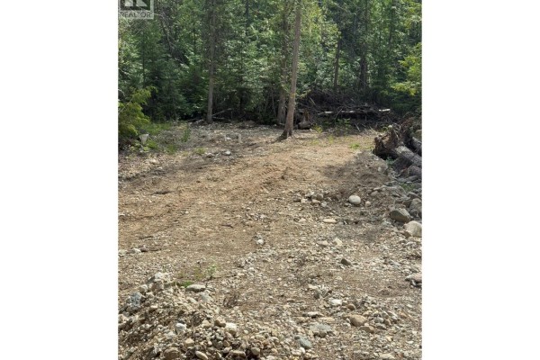 4018 Fumot Place, Bonnington, BC, photo 3