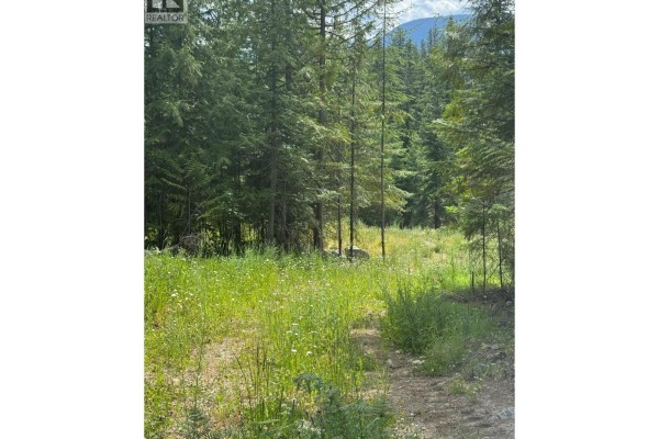4018 Fumot Place, Bonnington, BC V0G2G3 Photo 4
