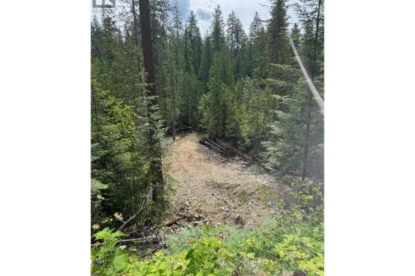 4018 Fumot Place, Bonnington, BC V0G2G3 Photo 5