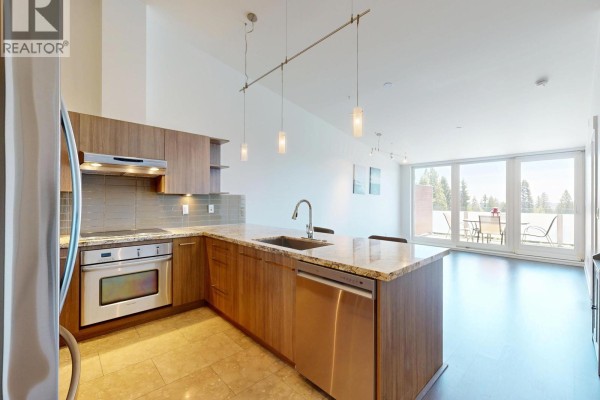 402 650 Evergreen Place, North Vancouver, BC V7N0A5 Photo 3