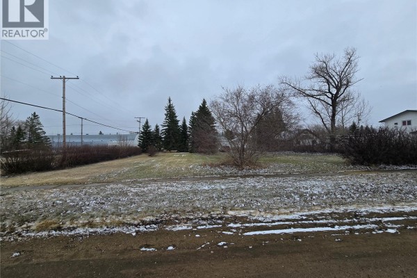 403 Assiniboia Avenue, Sedley, SK S0G0J8 Photo 5