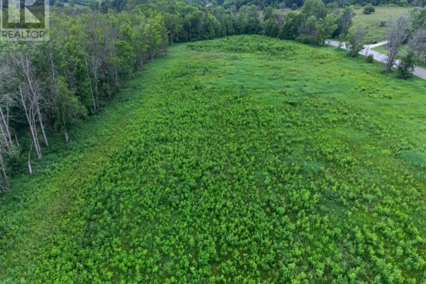 0 Concession Rd 20, Georgian Bluffs Concession, Georgian Bluffs, ON, photo 3