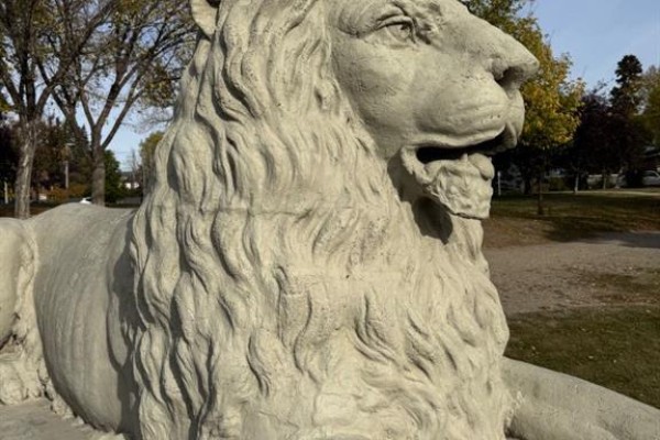 Close-up view of a stone lion statue with a textured mane. - 404, 222 5 Avenue Ne, Calgary