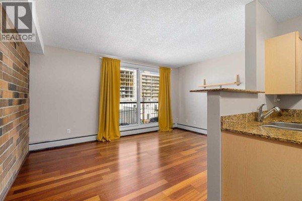 Other - #404, 315 9a Street Nw, Calgary, AB T2N1T7 Photo 5