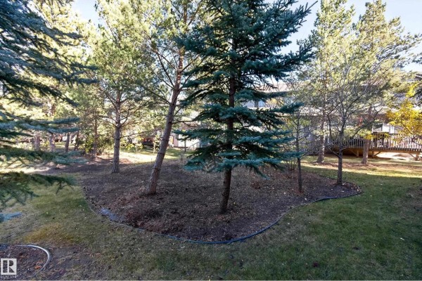 Family room - #404 41 Summerwood Bv, Sherwood Park, AB T8H0C8 Photo 4