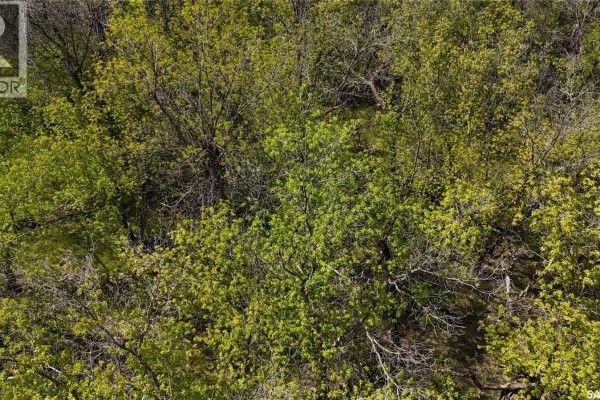 404 Mackie Street, Echo Lake, SK S0G1S0 Photo 4