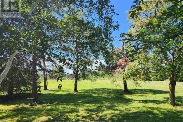4044 Ravenshoe Road, Georgina, ON L0E1R0 Photo 5