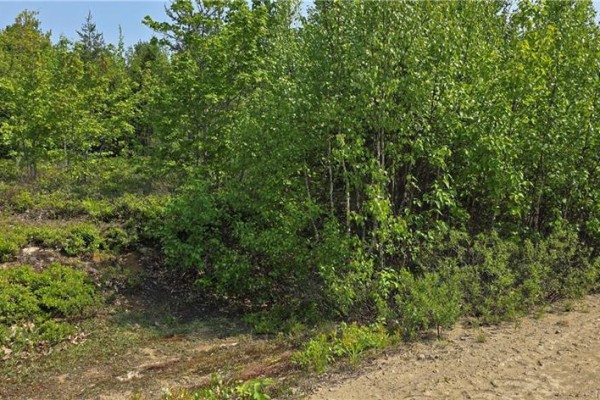4046sm Rue Noemie, Pointe A Tom, NB E1X3X4 Photo 4