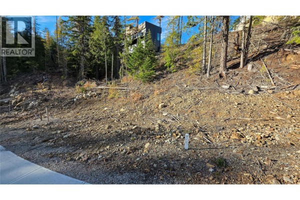 405 Centennial Place, Rossland, BC V0G1Y0 Photo 3