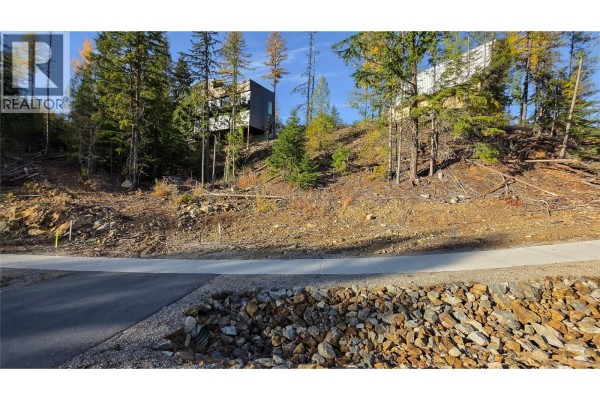 405 Centennial Place, Rossland, BC V0G1Y0 Photo 4