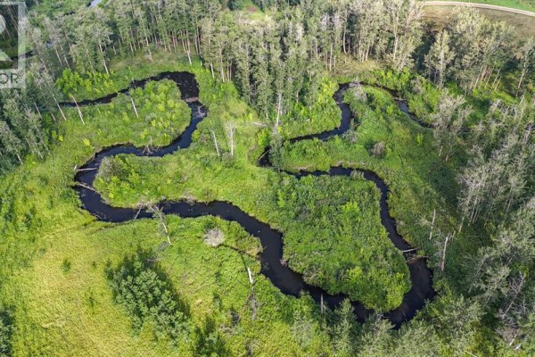 40518 Highway 821, Tees, AB T0C2N0 Photo 5