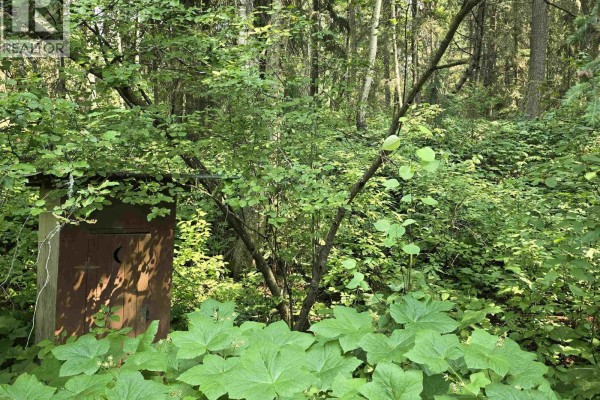 Laundry room - 4055 Bailey Road, Valemount, BC V0E2Z0 Photo 4