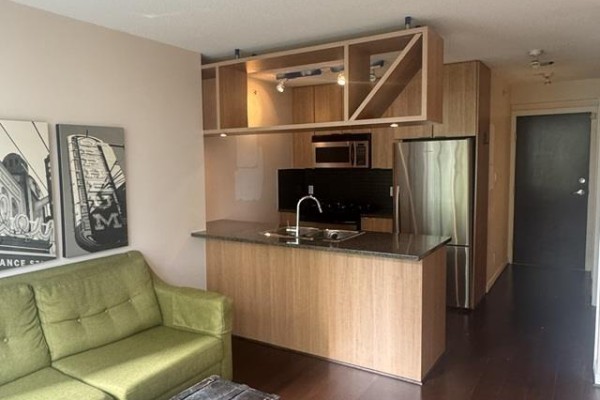406 1010 Richards Street, Vancouver, BC V6B1G2 Photo 3