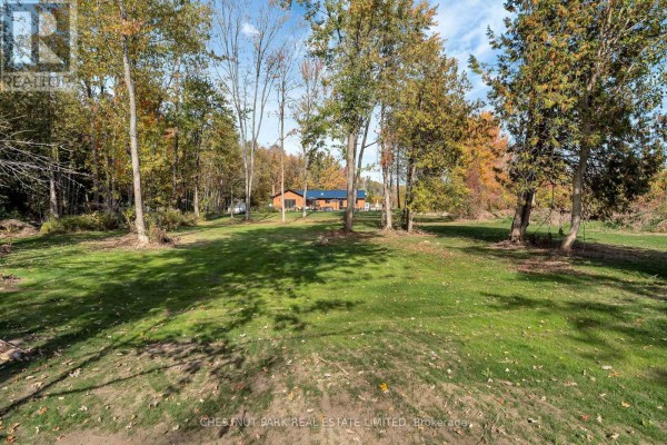 Wood-sided house surrounded by trees and lawn - 407 County Road 4 Prince Edward County