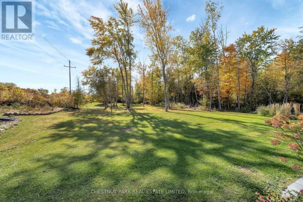 Expansive green lawn with mature trees and sunlight - 407 County Road 4 Prince Edward County