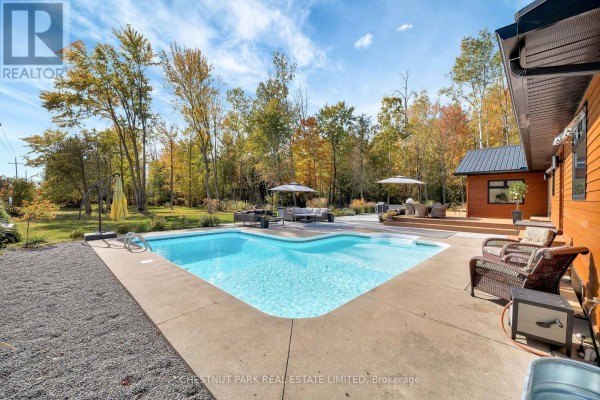 In-ground pool with deck, outdoor furniture, and autumn trees - 407 County Road 4 Prince Edward County