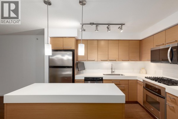 408 2770 Sophia Street, Vancouver, BC V5T0A4 Photo 4