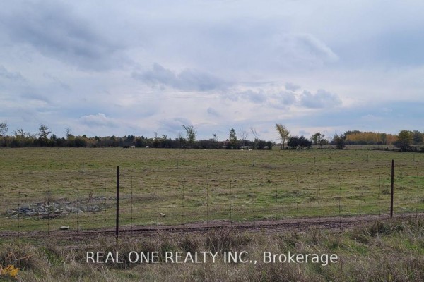 Primary Bedroom - 408 Portage Road, Kawartha Lakes, ON K0M2B0 Photo 4