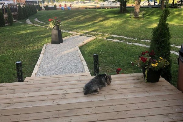 Dog on a wooden deck with a view of the water. - 4089 Glen Cedar Drive, Ramara